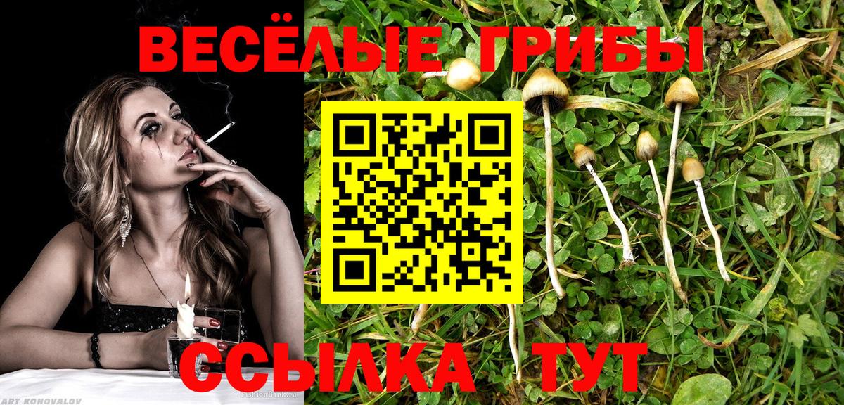 Лангепас  где можно купить   Вход с VPN  Галлюциногенные грибы мицелий  Псилоцибиновые грибы MAGIC MUSHROOMS 