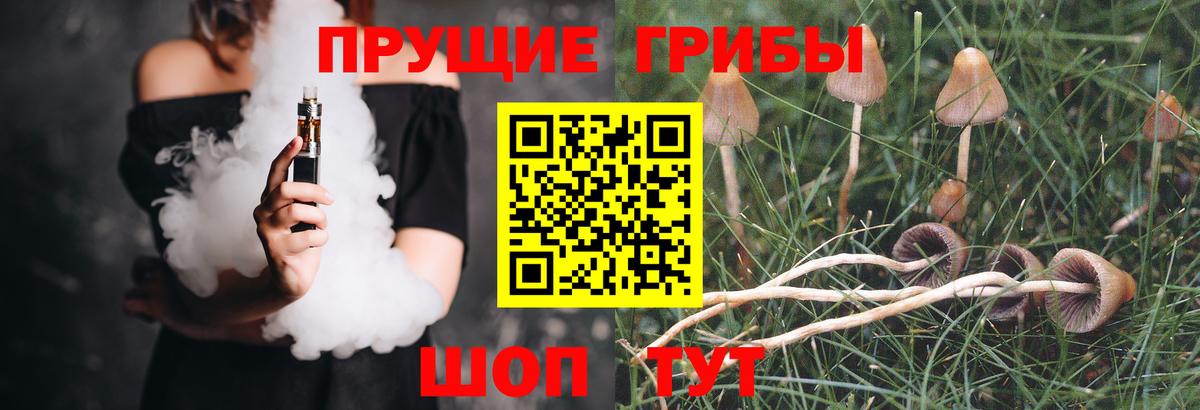 Галлюциногенные грибы Psilocybine cubensis Лангепас